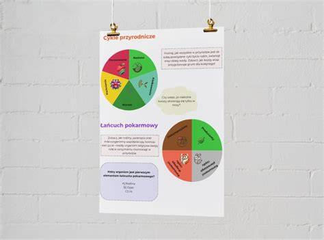 Infografika o cykle kliešťov a najčastejších ochoreniach prenášaných psom