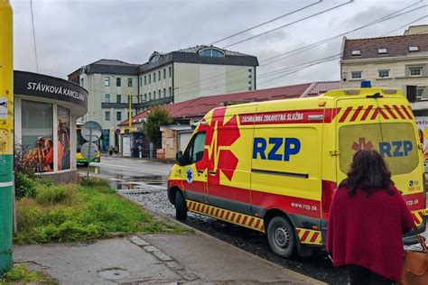 Rodina hrajúca sa s havanským psíkom