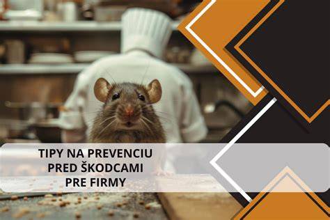 Infografika: tipy na prevenciu vypadávania srsti