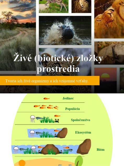 Prírodné zložky s protizápalovým účinkom v Alavis