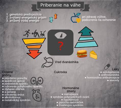 Infografika: Základné pravidlá priberania na váhe psa (energia, proteíny, tuky, vláknina)