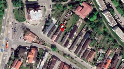 Pes v spoločnom dvore