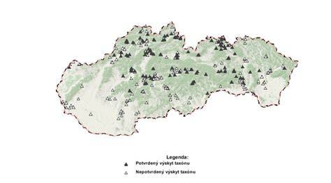 Mapa rizikových plemien a výskytu torzie podľa plemien