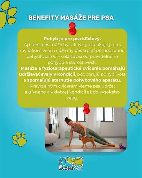 Schéma starostlivosti o psa: výživa, hygiena, pohyb, veterinárna starostlivosť