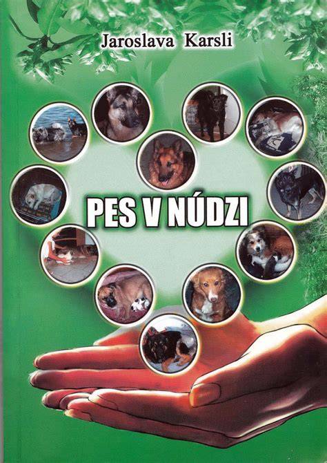 Infografika: Ako identifikovať pes v núdzi obchod a riziká na trhu