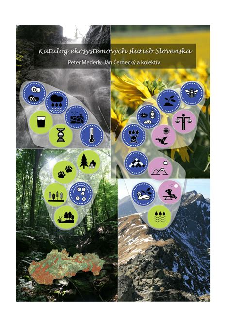 Ilustrácia ekosystémových služieb lesa