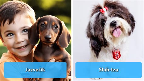 Ilustrácia porovnávajúca priemernú dĺžku života malých a veľkých psov