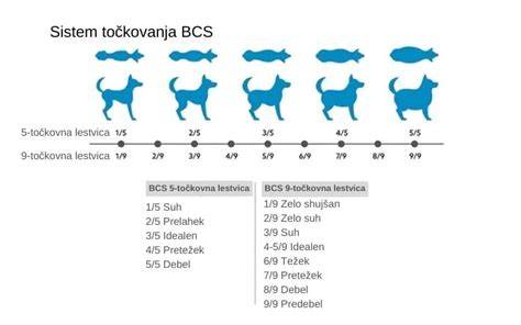 Infografika: Semafor rizík pri požití látok u psa