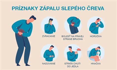 Infografika komunikácie srsť a podsady: čo je podsada, kde sa nachádza, ako vplýva na starostlivosť