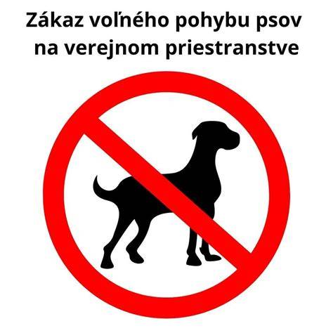 infografika: porovnanie veľkostí psov a ich nárokov na pohyb
