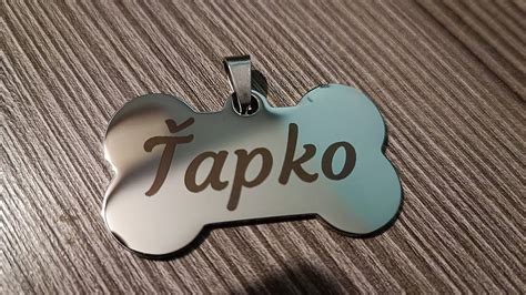 Ilustrácia psa s menom Erny