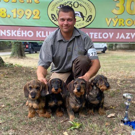 Téma: Vzorové rozdelenie jazvečík, varianty srsti a veľkostí