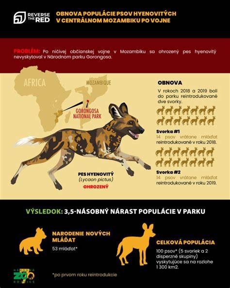 Infografika: Vzťah človek - pes a jeho vývoj v priebehu príbehu