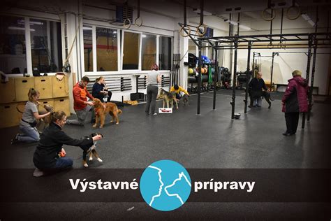 Výstavná výbava pre psa