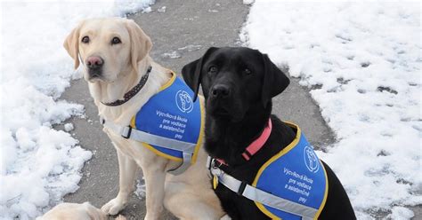 šteňa pri prvom kúpaní