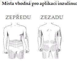 Pes dostáva injekciu do svalu