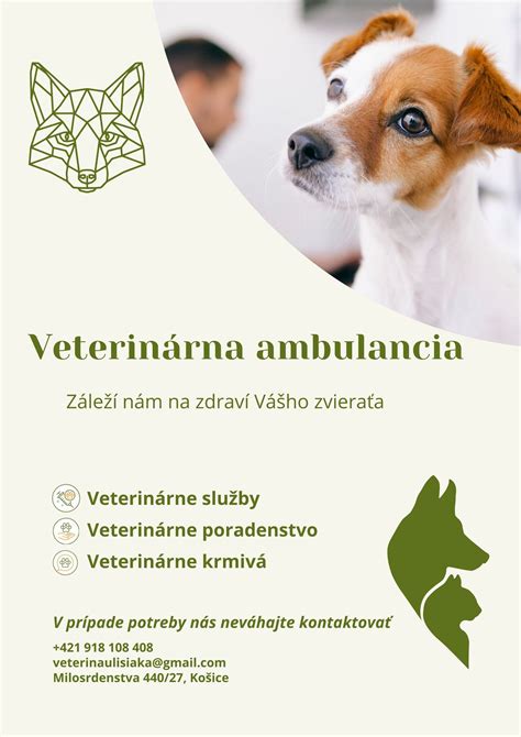 Porovnanie intramuskulárnej a intravenóznej anestézie u psov