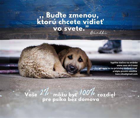 Grafika: Povaha a potreby kríženca labradora a vlčiaka