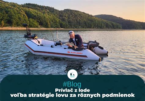 Strategie lovu rôznych predátorov