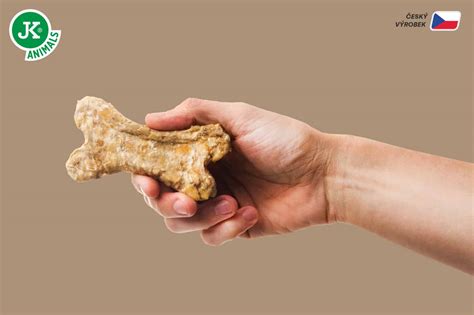 Pes s nadšením prijímajúci pamlsok