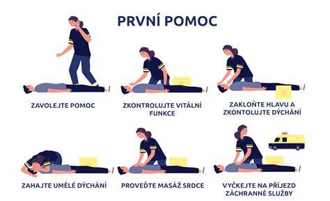Obrázok: správny postup prvej pomoci pri poranení psa