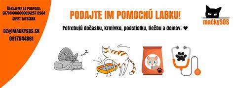 Stavba informačného kanálu pre rýchle nájdenie psa