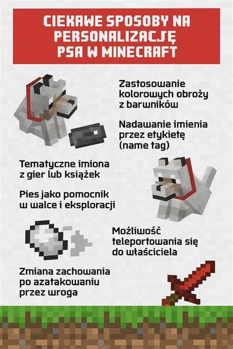 Infografika s krokmi kreslenia psa