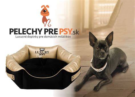 Obrázok ilustrujúci rôzne typy ležadiel pre psov (iglu, matrace, pelechy, klietky a domčeky)