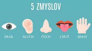 Infografika: čuch vs. sluch vs. zrak u psa