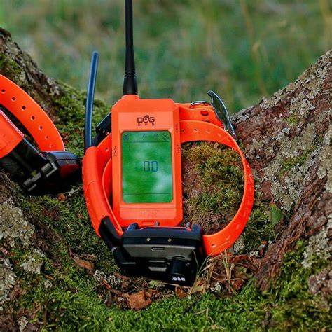 Moderné GPS obojky a monitorovacie zariadenia