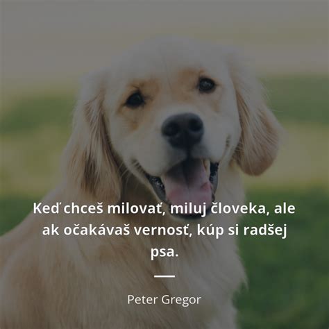 Koláž známych citátov o psoch