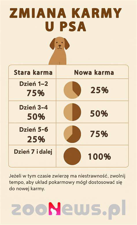 Infografika: Znaky anafylaktického šoku u psa a rýchla akcia