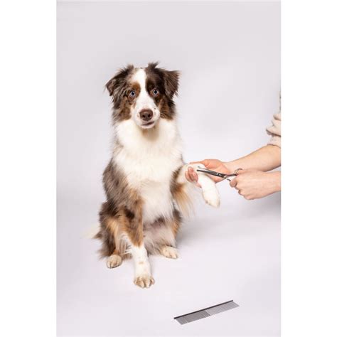 Nástroje na strihanie pazúrikov psa