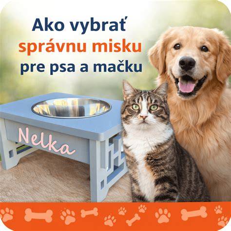 Infografika: Ako vybrať správnu búdu a umiestnenie pre psa