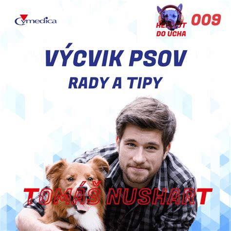 Infografika: Ako identifikovať a navrátiť nájdeného psa k majiteľovi