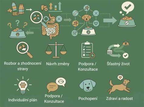 Ilustrácia procesu identifikácie psa a kontaktovania majiteľa