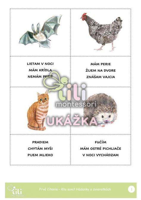 Infografika: Ako rozvíjať logické myslenie cez hádanky o zvieratkách