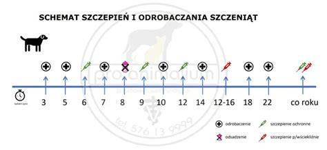 Infografika: Typické očkovania a harmonogram odčervovania šteniat