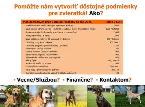 Infografika: Náklady na prípravu psa na adopciu