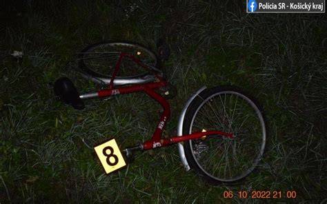 AmStaff pri behu vedľa bicykla