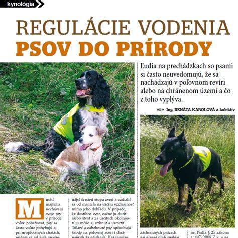 Diskusia o regulácii chovu psov