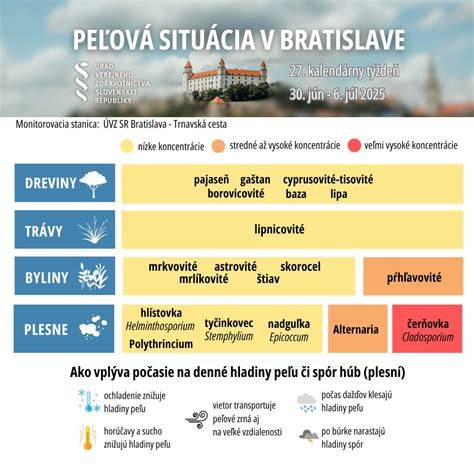 Obr.1: Staroveké zobrazenia psov a ich úlohy v kultúrach