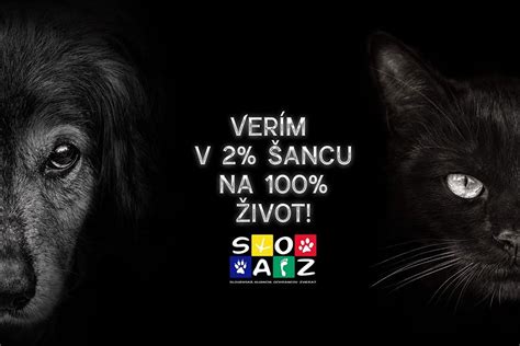 Šťastný pes v novom domove