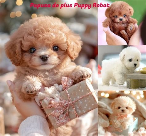 Roztomilý robotický pes