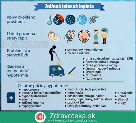 Infografika: Ako pes reaguje na chlad - telesná teplota, signály a ochranné postupy