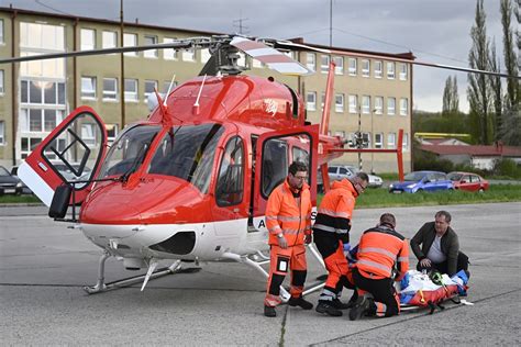 Záchranári ošetrujú zraneného psa