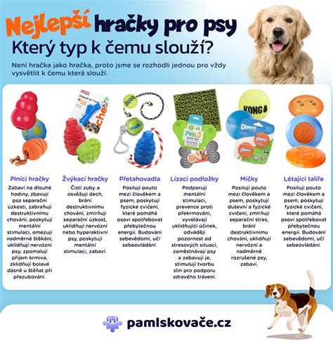 Infografika s odporúčaným vekom pre rôzne typy hračiek