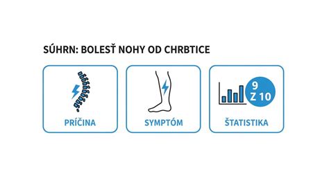 Infografika: tri piliere prevencie chrbtice psa - hmotnosť, pohyb, odpočinok