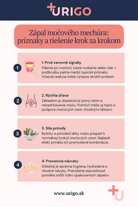 Infografika: Schéma močového mechúra a jeho zvieračov