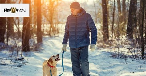 Rodina na prechádzke v prírode so psom